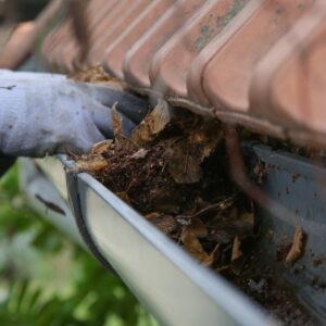 Gutter Cleaning